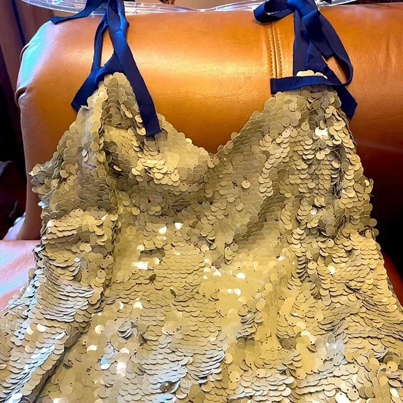 Stunning J. Crew Collection sequin dress with ribbon straps
